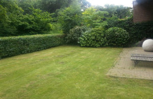 Voorjaarsonderhoud - Jeroen Borst Voorjaarsonderhoud - Jeroen Borst