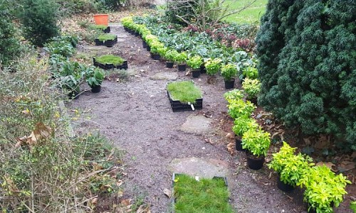 Uitzetten van de beplanting