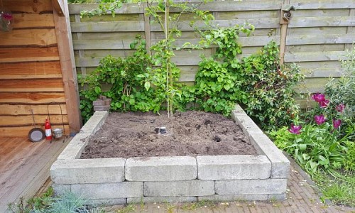 Plantenbak schoonmaken Castricum