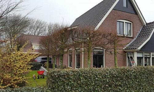 Tilia europaea (Leilinde) Limmen 