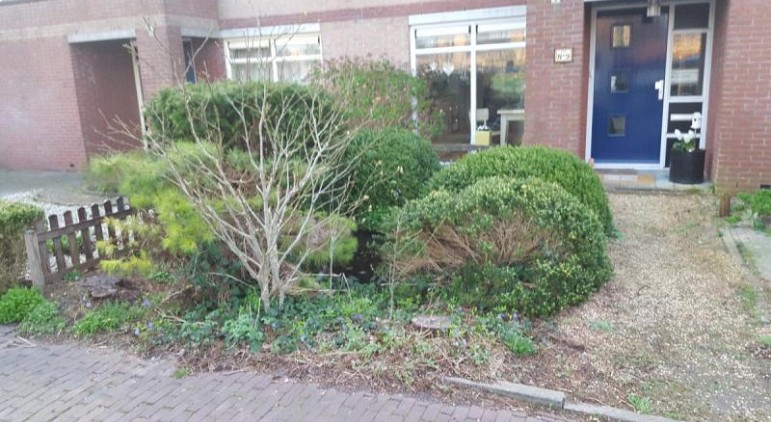 Oude beplanting verwijderen
