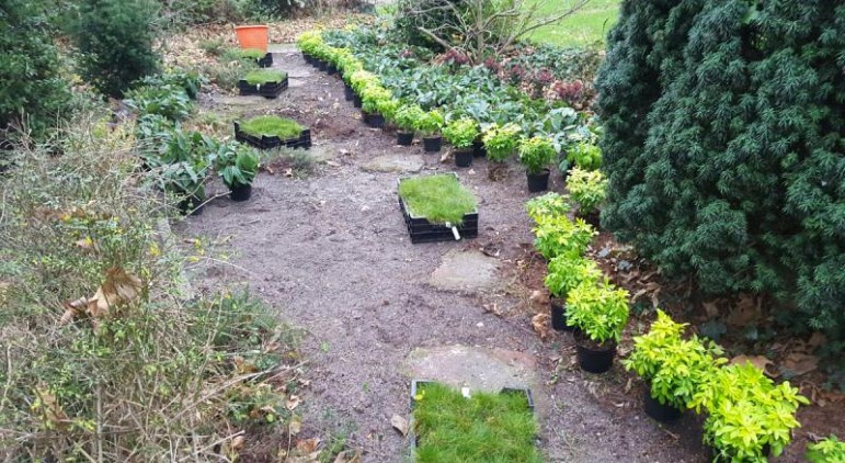 Uitzetten van de beplanting